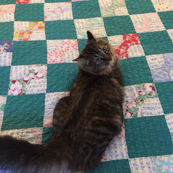 Welcome to my closet! My name is Chelsea 🌞 - Picture 15 of 15